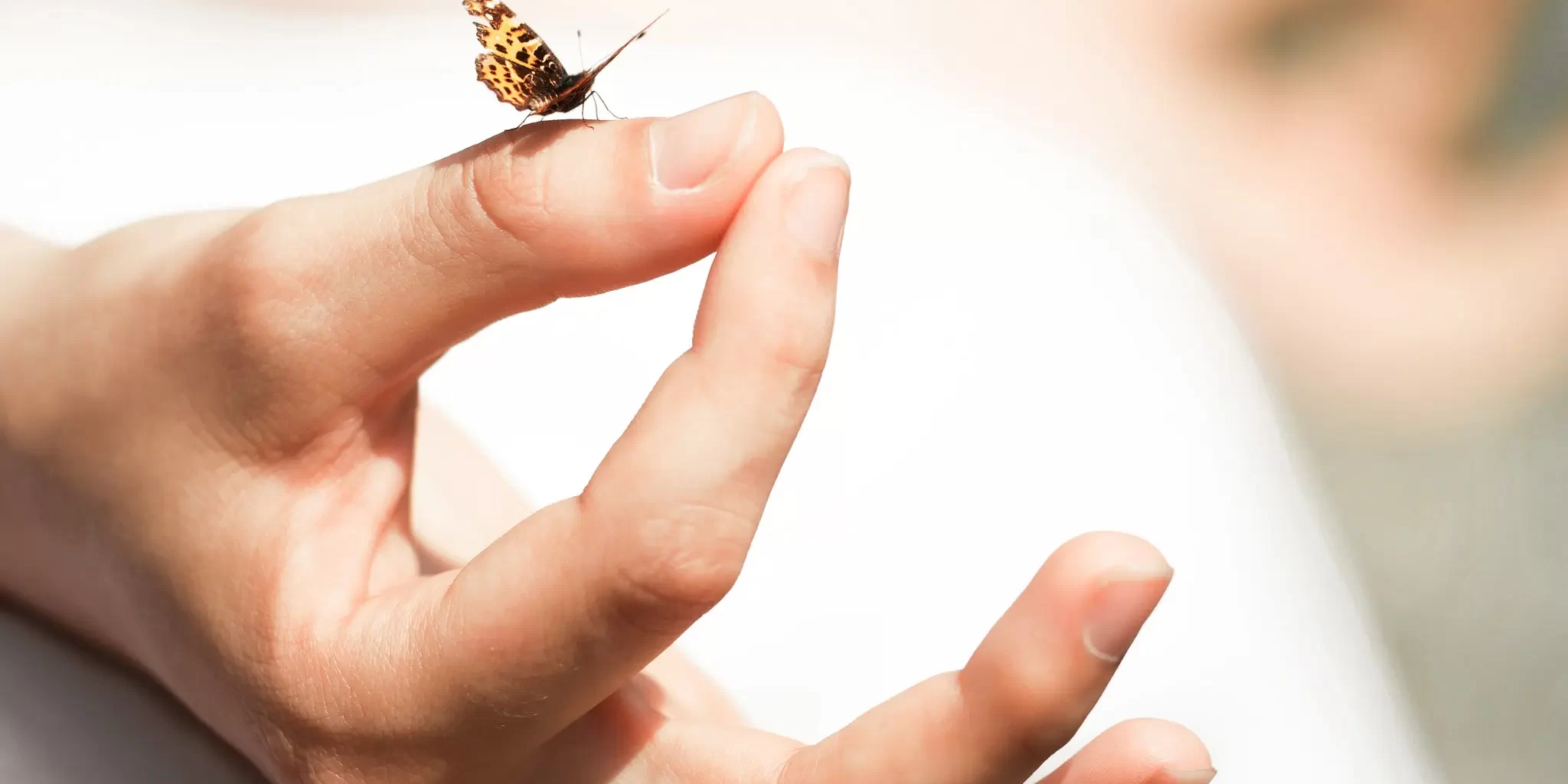 QUE ES LA MEDITACIÓN Y SUS BENEFICIOS